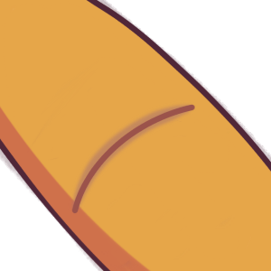 a limb with a plain line scar.